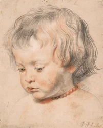 Nicolaas Rubens Wearing a Coral Necklace